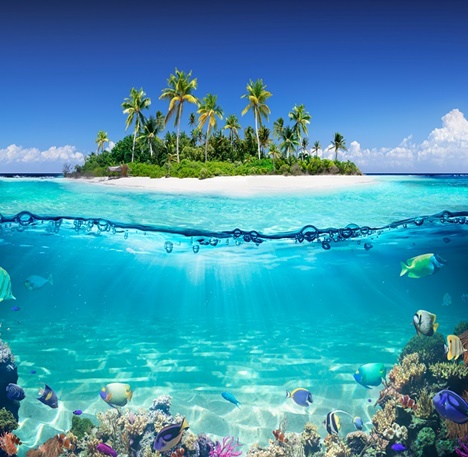 Caribbean Cruise Tour