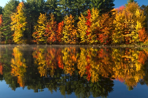 New England "Fall Foliage"